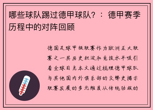 哪些球队踢过德甲球队？：德甲赛季历程中的对阵回顾