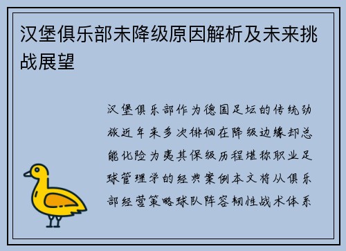 汉堡俱乐部未降级原因解析及未来挑战展望